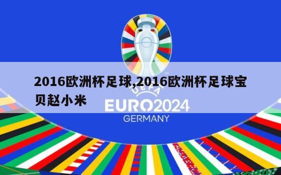2016欧洲杯足球,2016欧洲杯足球宝贝赵小米